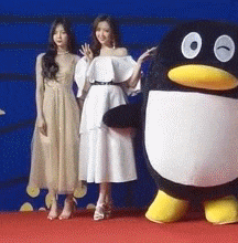 penguin,harassment,groping GIF