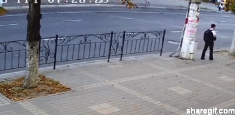 How lucky those people 25 GIF