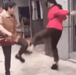 cats fight GIF