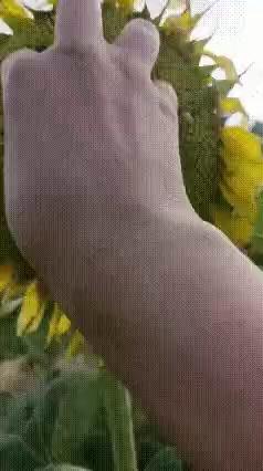 Make you laugh