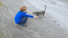 Boy and chicken GIF