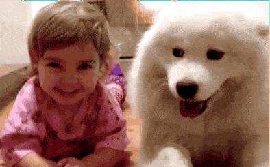 kid and dog GIF