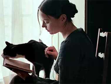 Reading, teasing the cat, Bright Star film short MP4 video