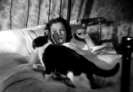 Vivien Leigh and cat, Sidewalks of London, 1938 GIF