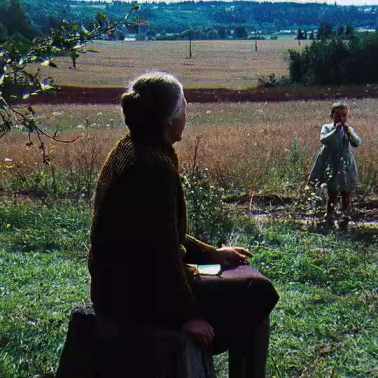 The Mirror Зеркало (1975)  Andrei Tarkovsky short MP4 video