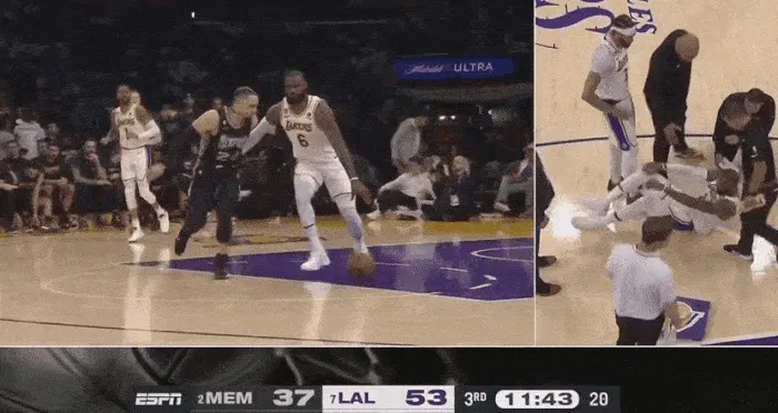 Dillon Brooks hit LeBron James in the crotch while defending