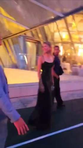 Zendaya and Novak Djokovic exchanged greetings and shook hands. short MP4 video