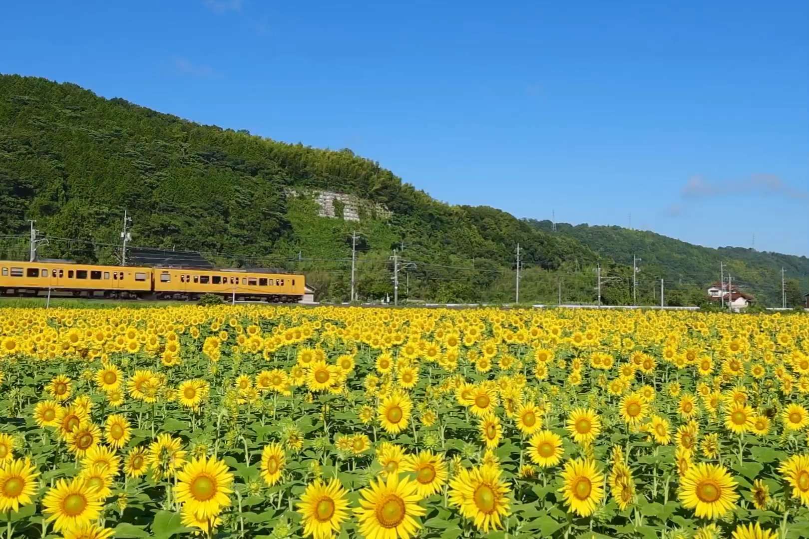The JR Hakubi Line in Tottori Prefecture