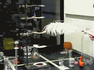 Nitrogen triiodide is extremely sensitive, please see! GIF