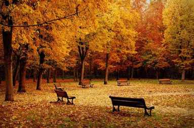 autumn scenery GIF