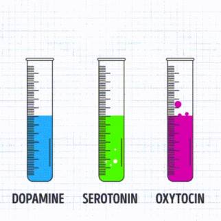 How do hormones affect your mood GIF