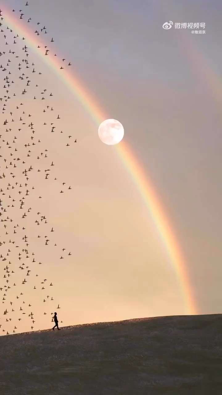 spectacular view, rainbow and birds