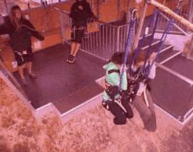 Cool bungee jumping, do you dare GIF