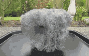 Steel wool and batteries react like magic GIF