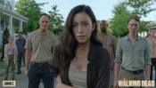 thewalkingdead the walking dead GIF