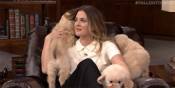 drew barrymore puppies GIF GIF