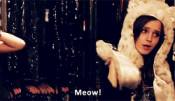 emma watson meow the bling ring GIF