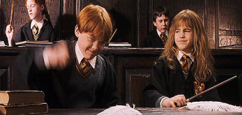 harry potter ron GIF GIF