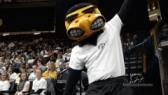 volleyball GIF by University of Iowa Hawkeyes Athletics GIF