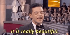 it is really beautiful rami malek GIF by The Academy Awards