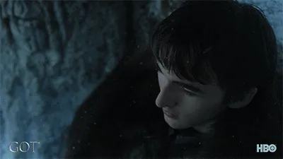 sansa_stark_episode_3_GIF_by_Game_of_Thrones