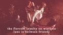 desperate housewives the fiercest loyalty on wisteria lane is between friends GIF GIF